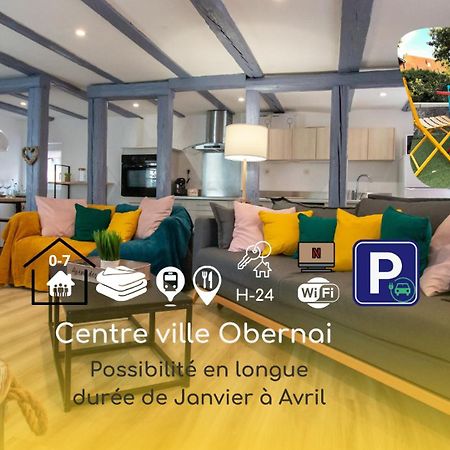 Le Nid Cosy D'Obernai /2Min Centre Ville/Parking Экстерьер фото