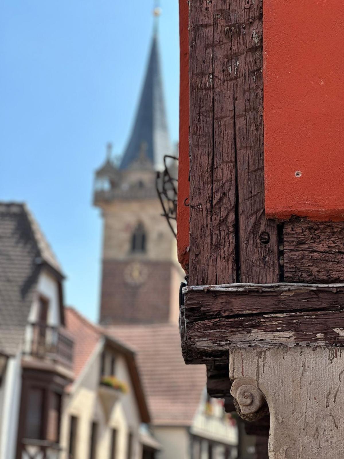 Le Nid Cosy D'Obernai /2Min Centre Ville/Parking Экстерьер фото