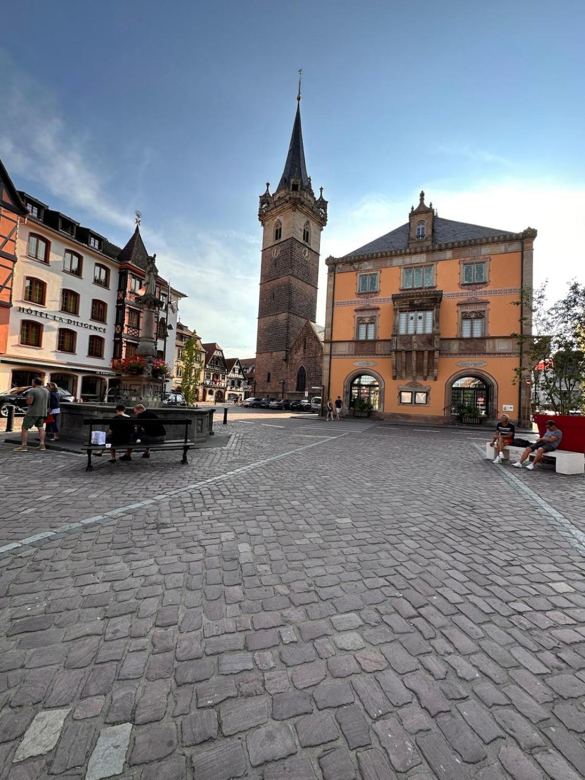 Le Nid Cosy D'Obernai /2Min Centre Ville/Parking Экстерьер фото