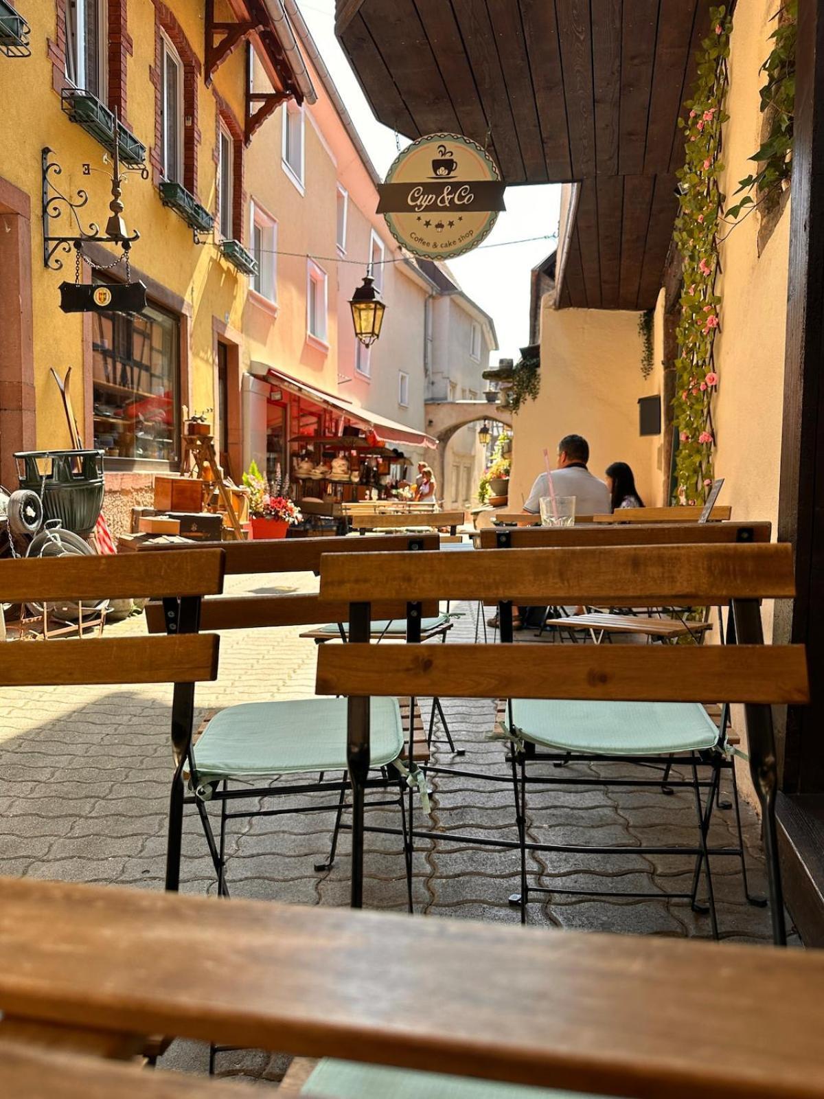 Le Nid Cosy D'Obernai /2Min Centre Ville/Parking Экстерьер фото