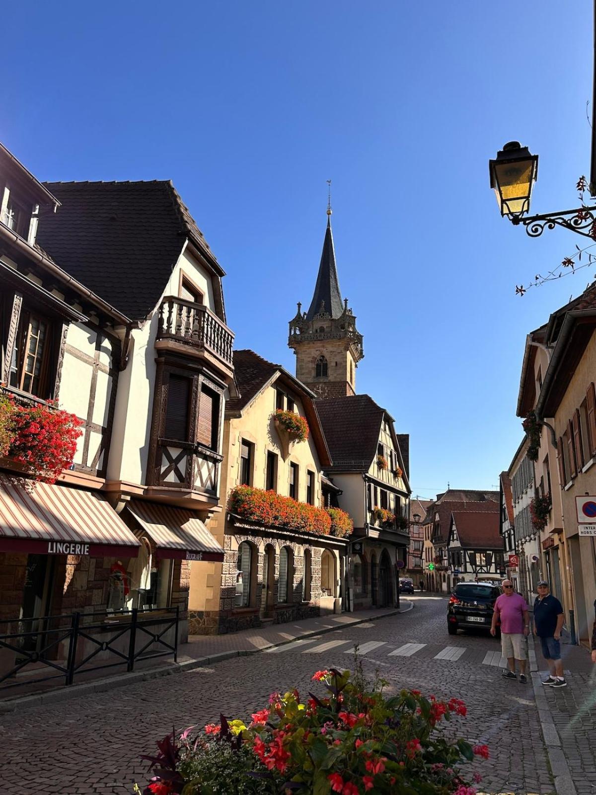 Le Nid Cosy D'Obernai /2Min Centre Ville/Parking Экстерьер фото